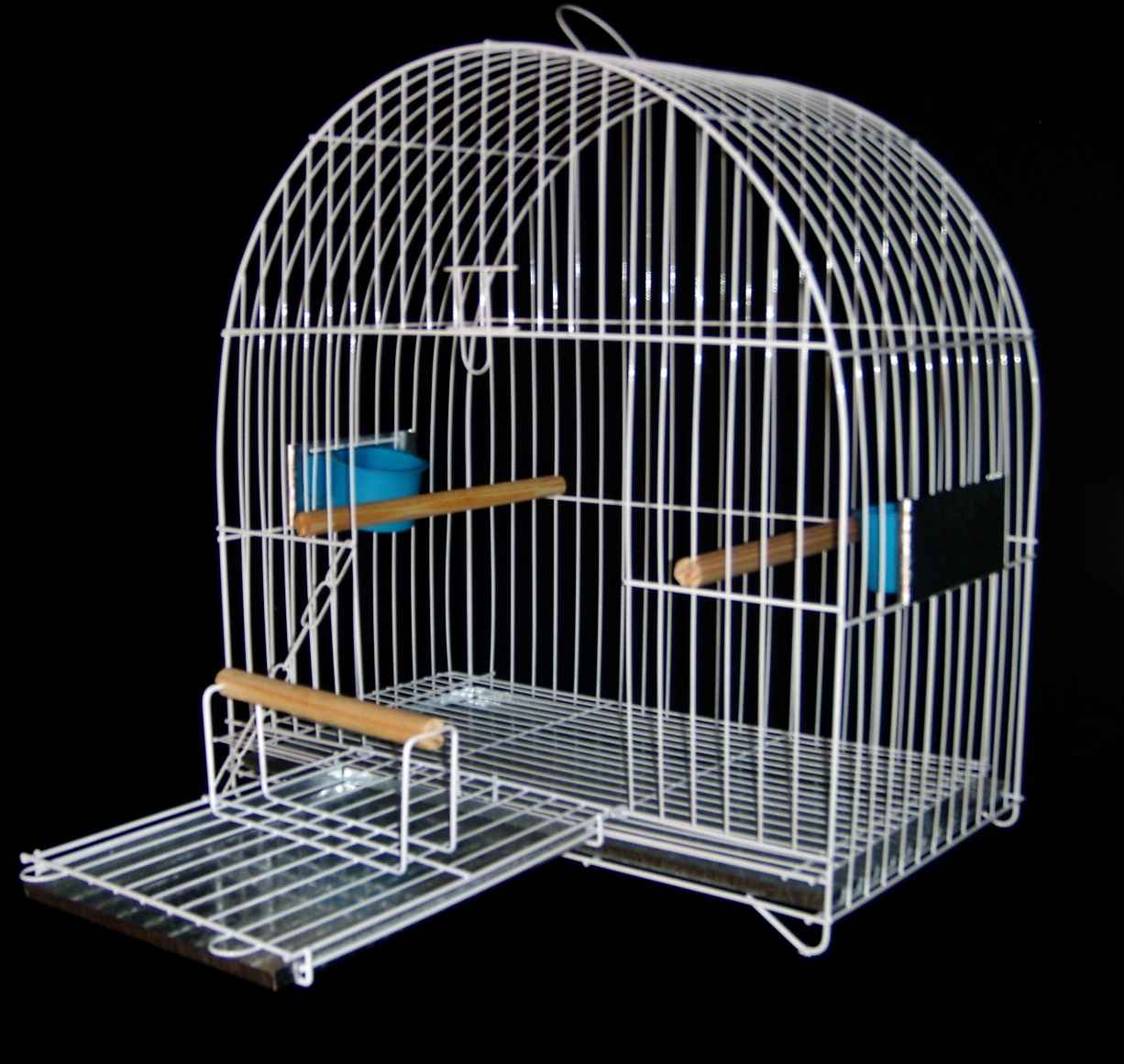 Image Title My Image